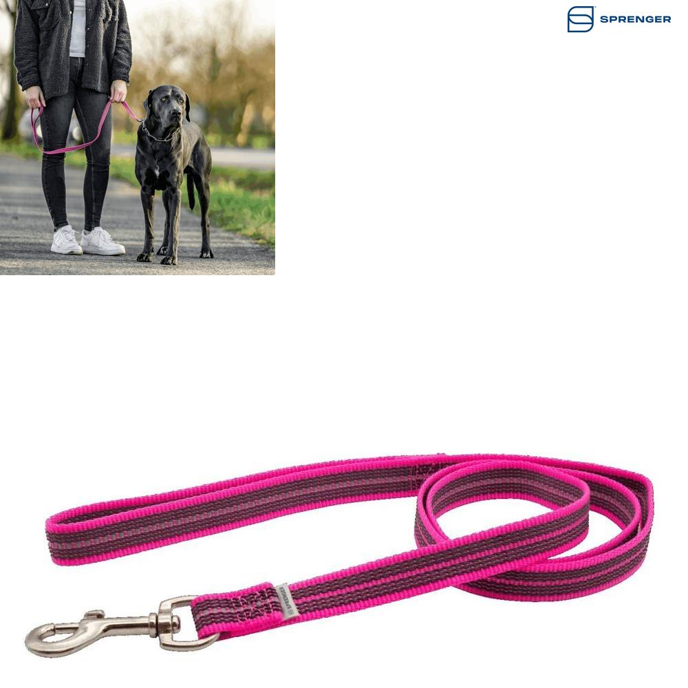 Sprenger Rubberized Leash with Handle повідець з ручкою для собак 19 мм х 2 м (59230_200_70)